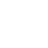 Fina Foods Logo